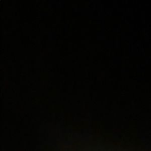 Meet your Posher, Samuel